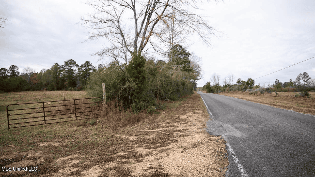 283± Acres for Sale Amite County, Mississippi