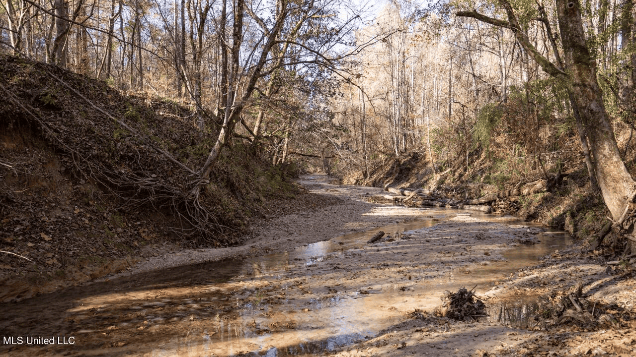 84.5 Acres in Woodville, MS on Hwy 24 with Creeks