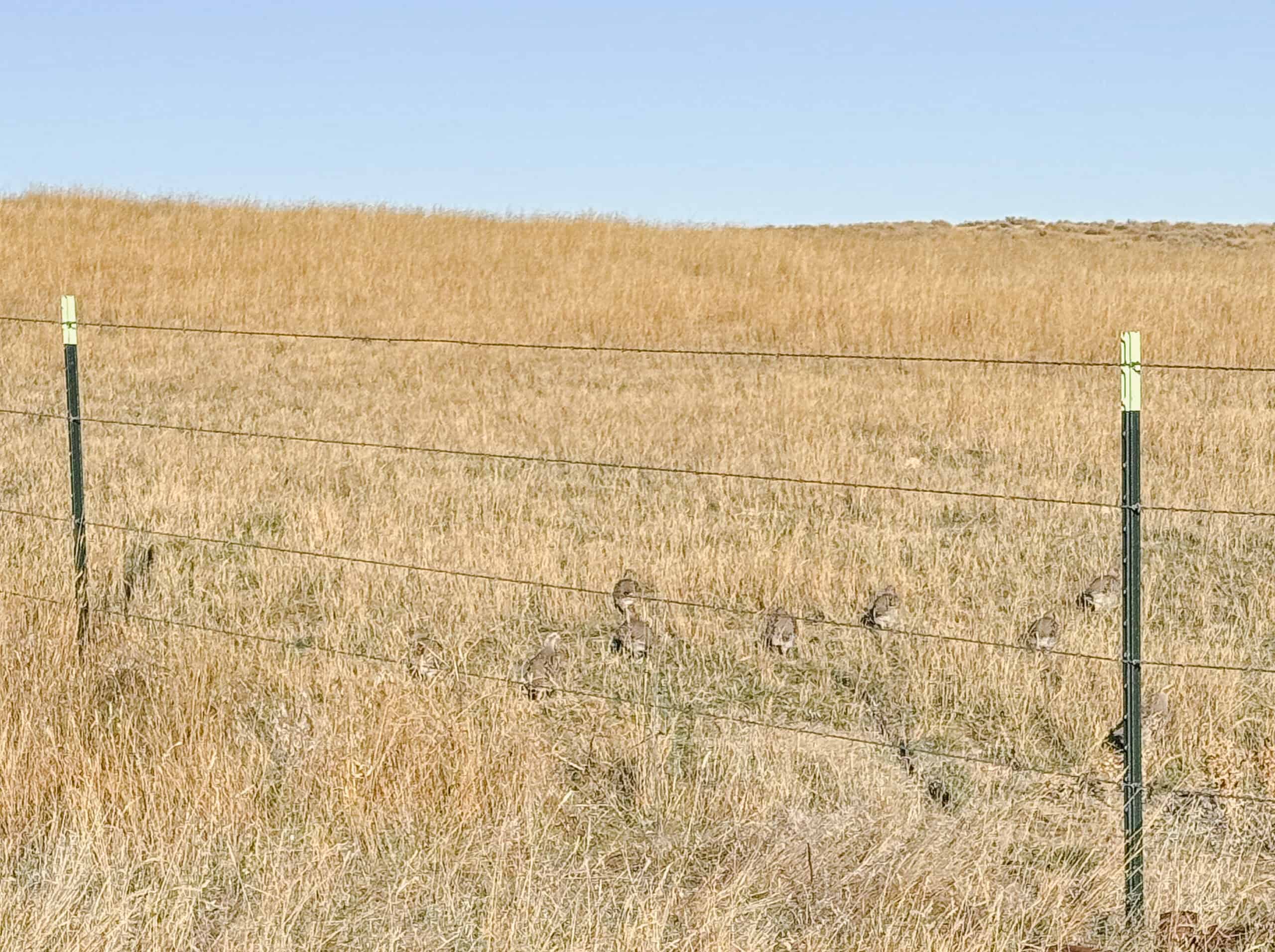 S Bar Ranch – 19,816± Acres North of Custer, Yellowstone County, Montana