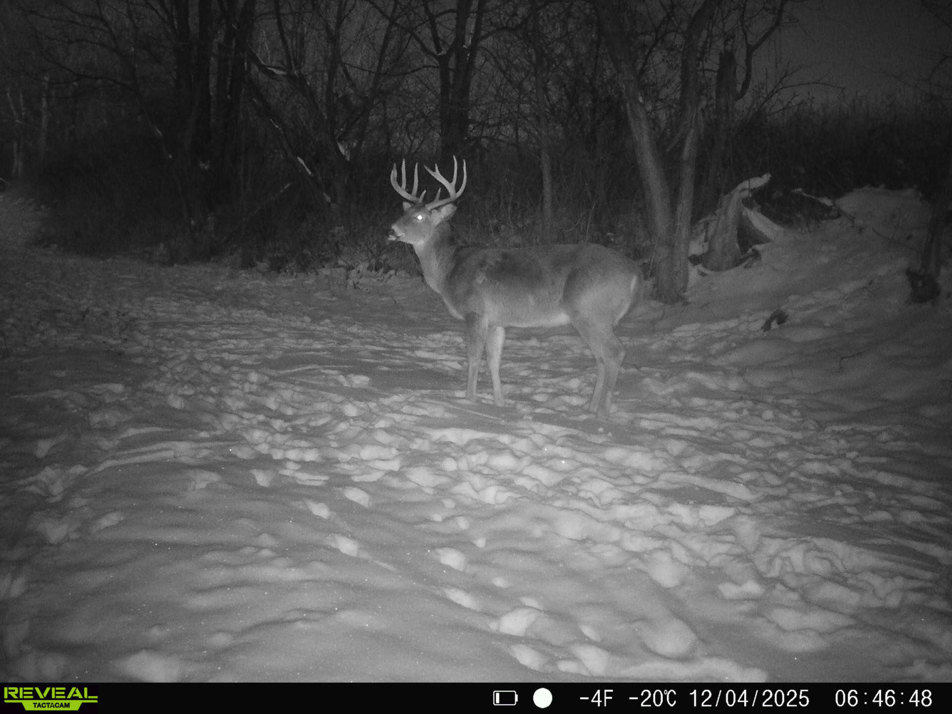 100 +/- Acre Ridge-Top Driftless Retreat in Crawford County WI