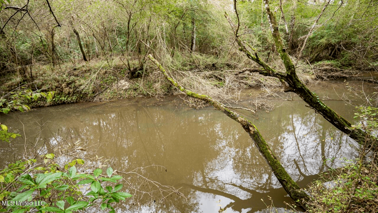 Asilo Farms on Bala Chitto Creek, Southwest Mississippi
