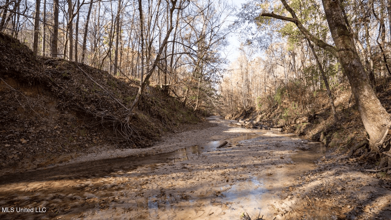 84.5 Acres in Woodville, MS on Hwy 24 with Creeks