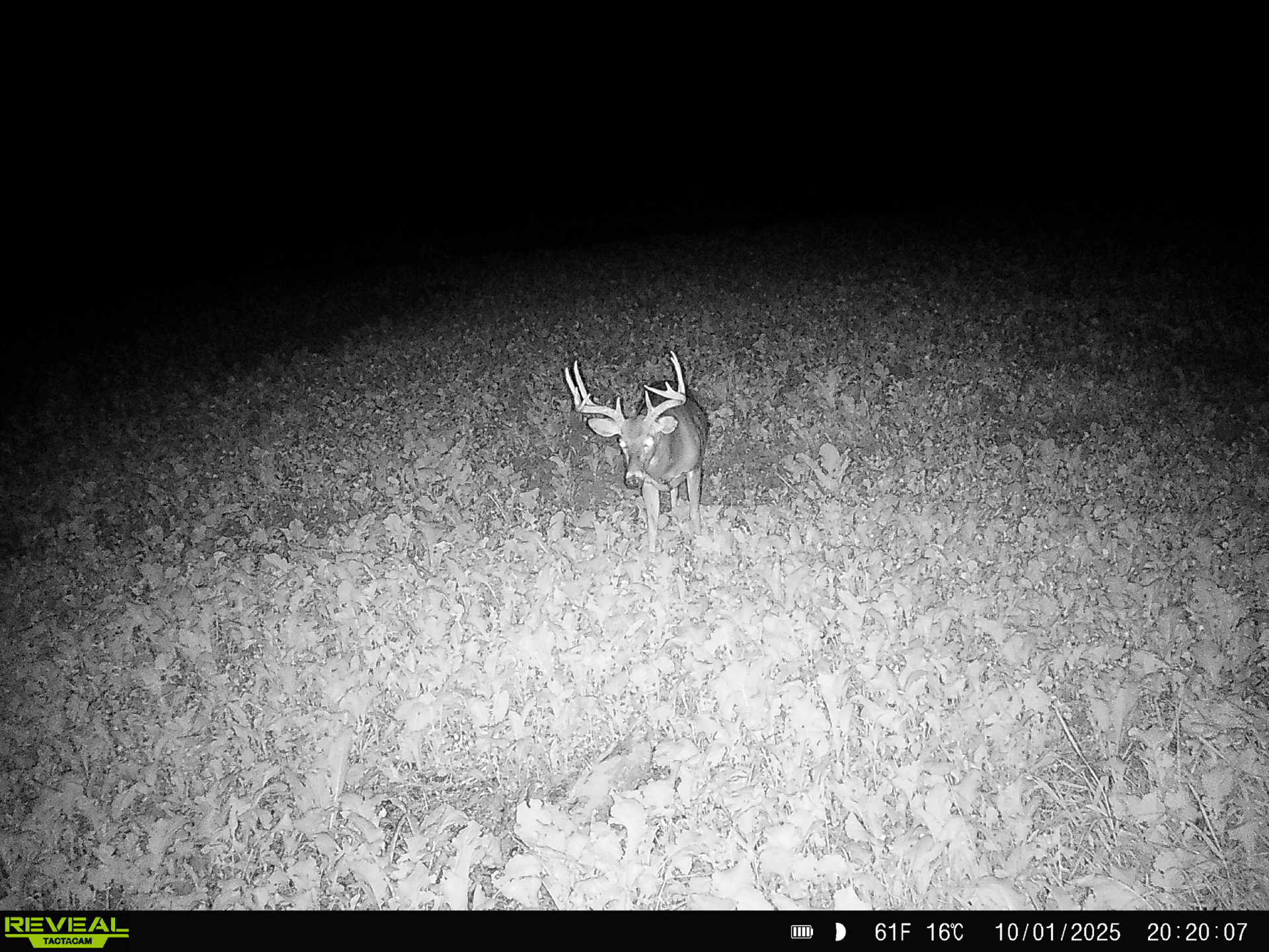 100 +/- Acre Ridge-Top Driftless Retreat in Crawford County WI