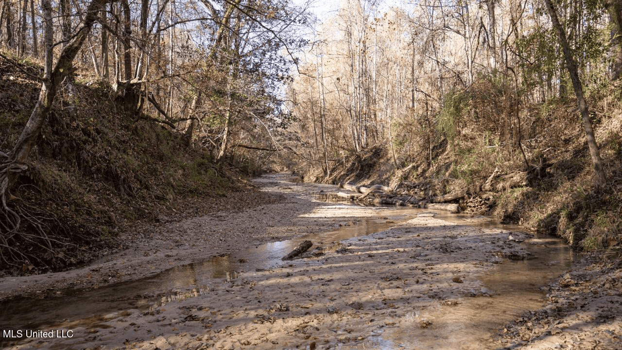 84.5 Acres in Woodville, MS on Hwy 24 with Creeks