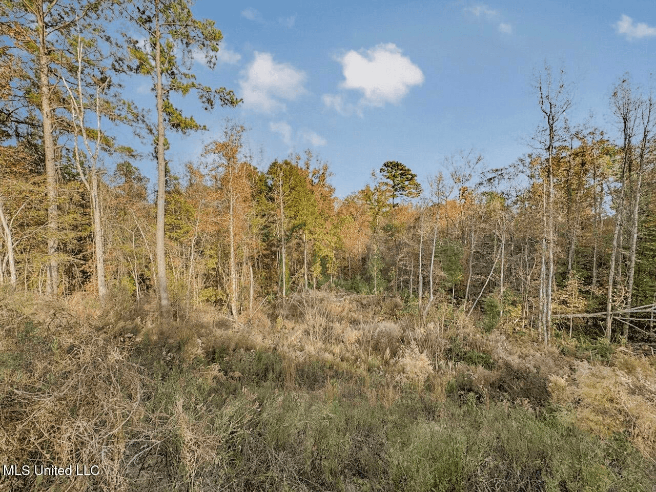 Natchez, MS – The Natchez Retreat on 47 Acres