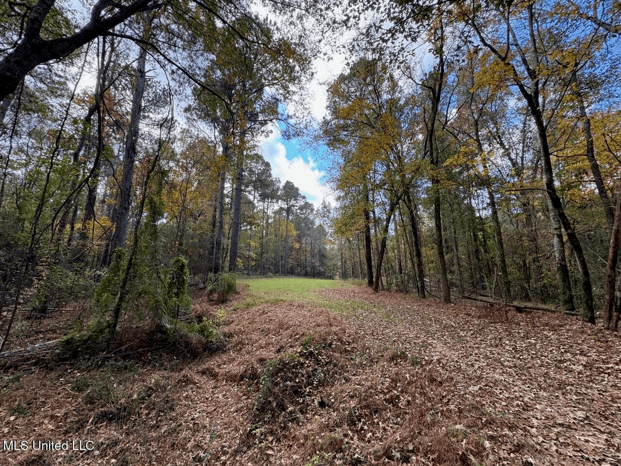 Roxie Mississippi – 94 Acre Recreational Retreat