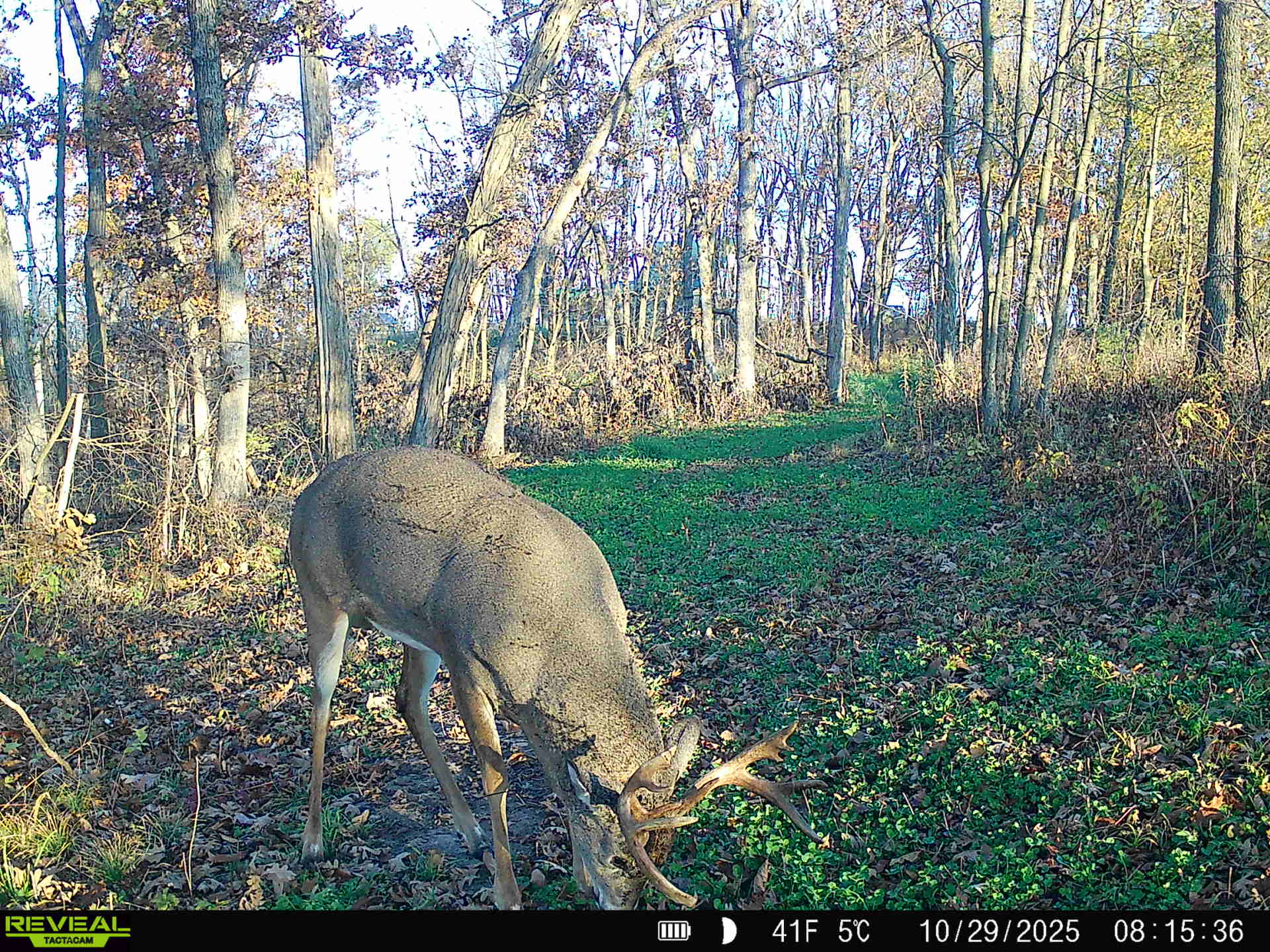 100 +/- Acre Ridge-Top Driftless Retreat in Crawford County WI