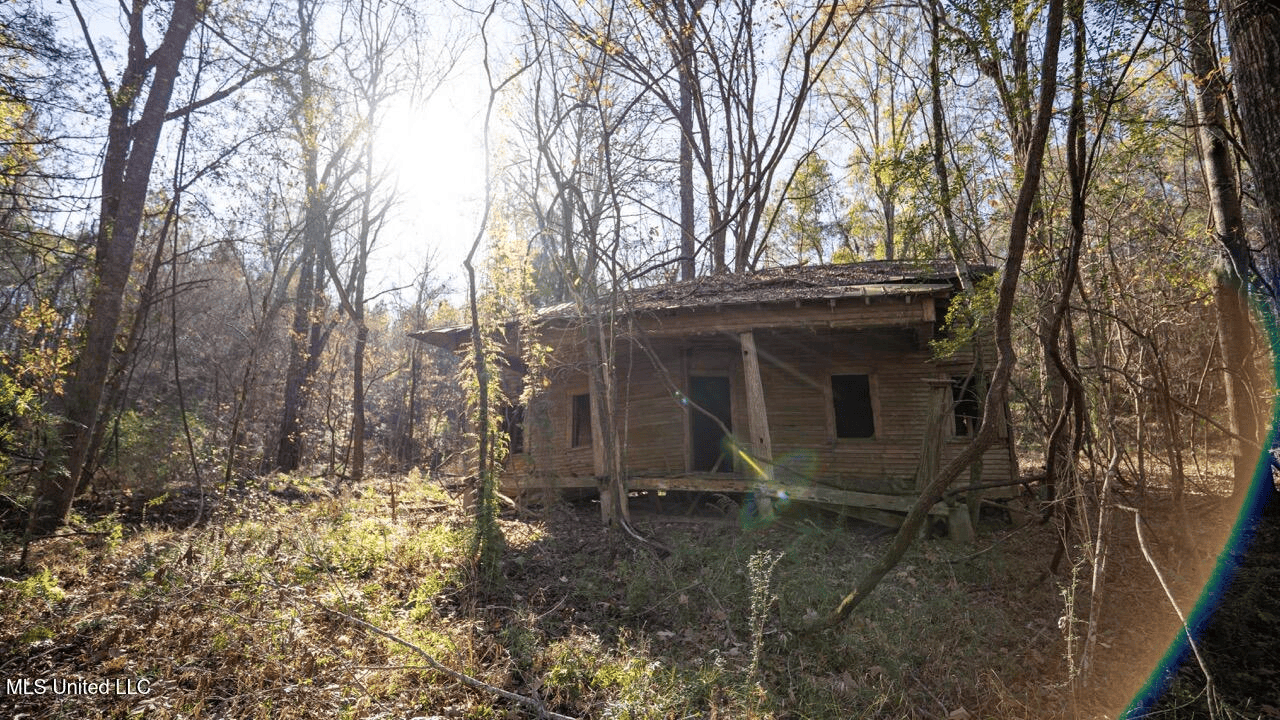 84.5 Acres in Woodville, MS on Hwy 24 with Creeks