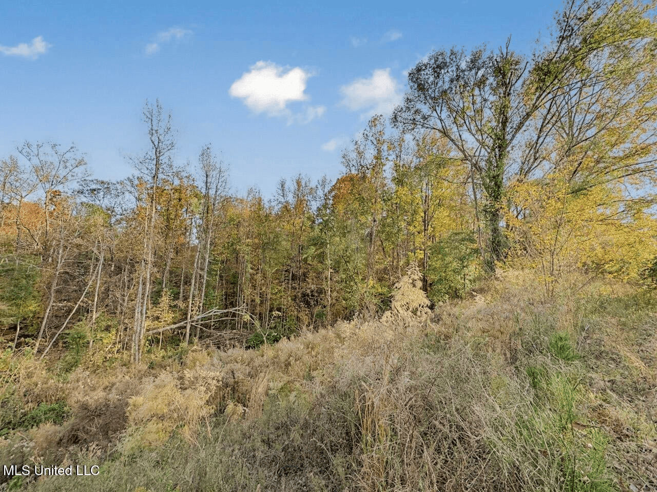 Natchez, MS – The Natchez Retreat on 47 Acres