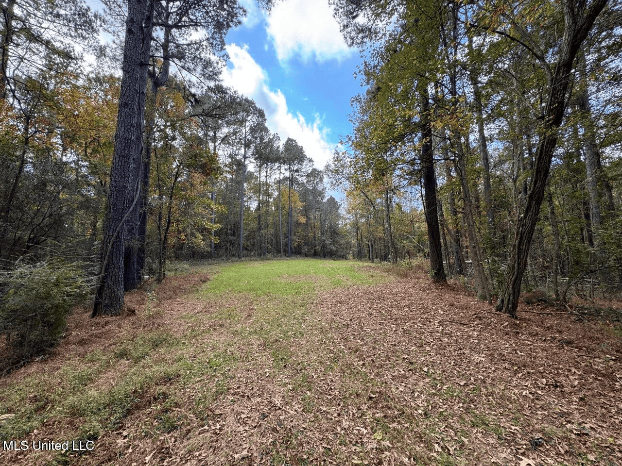 Roxie Mississippi – 94 Acre Recreational Retreat
