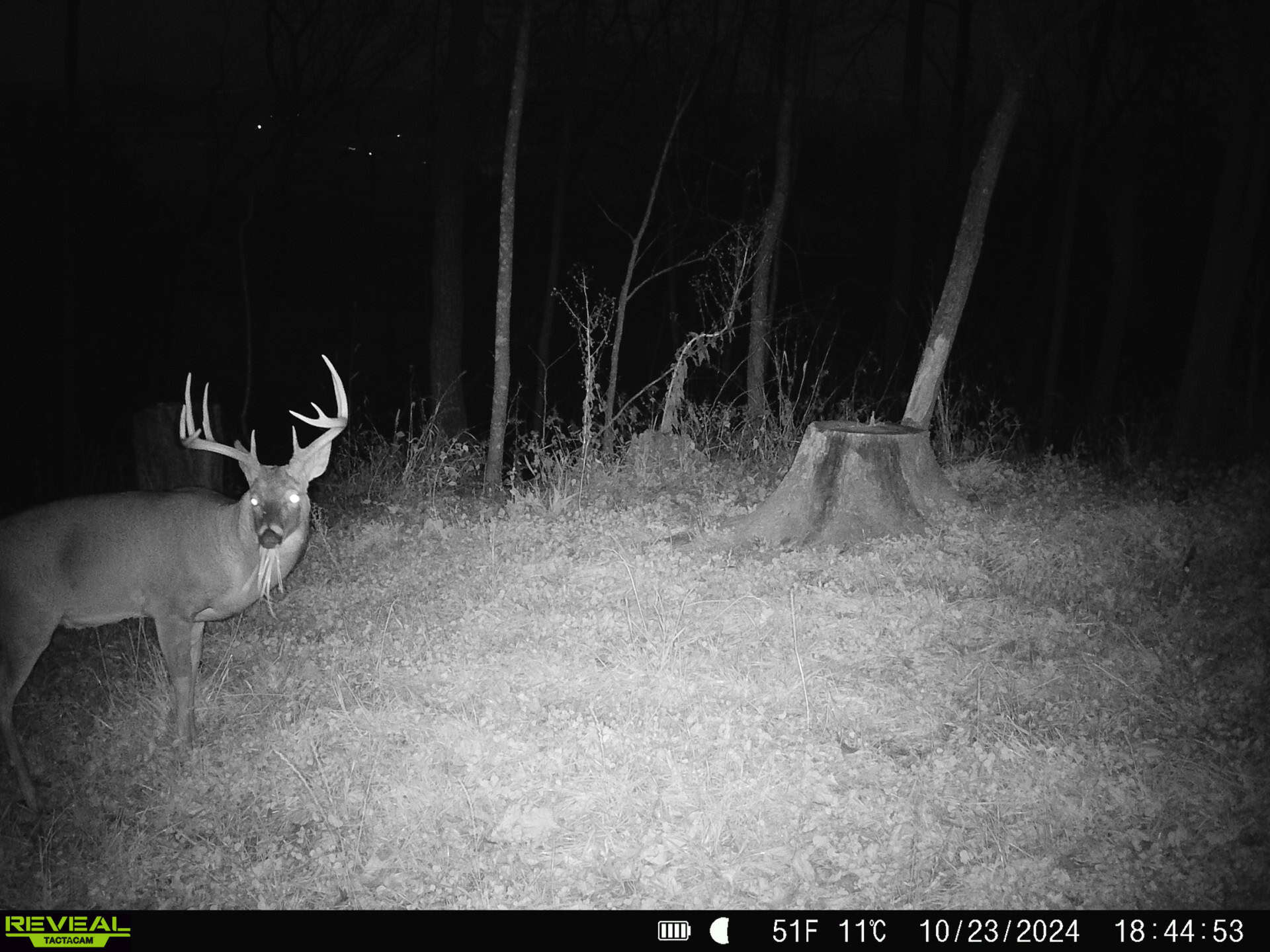 100 +/- Acre Ridge-Top Driftless Retreat in Crawford County WI