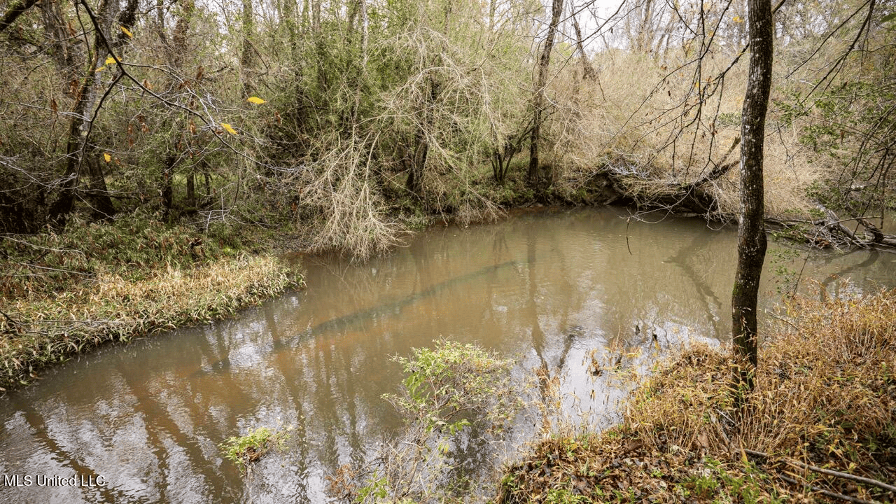 Asilo Farms on Bala Chitto Creek, Southwest Mississippi