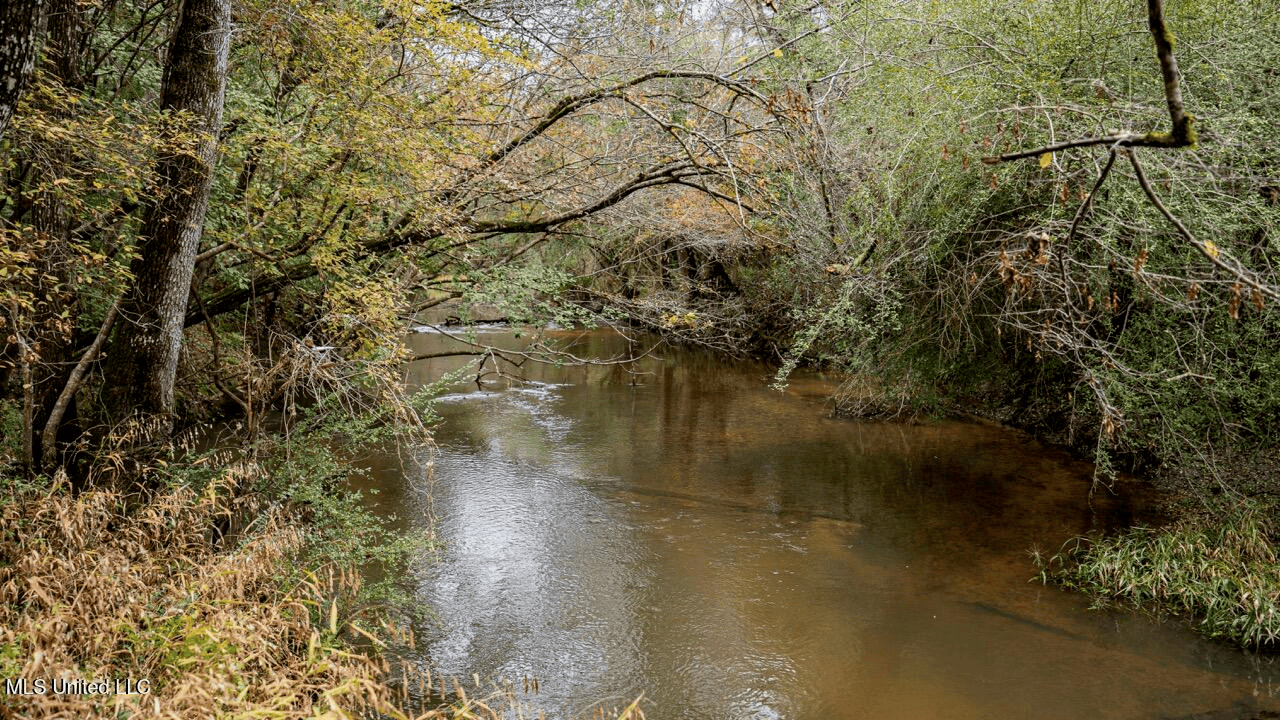 Asilo Farms on Bala Chitto Creek, Southwest Mississippi