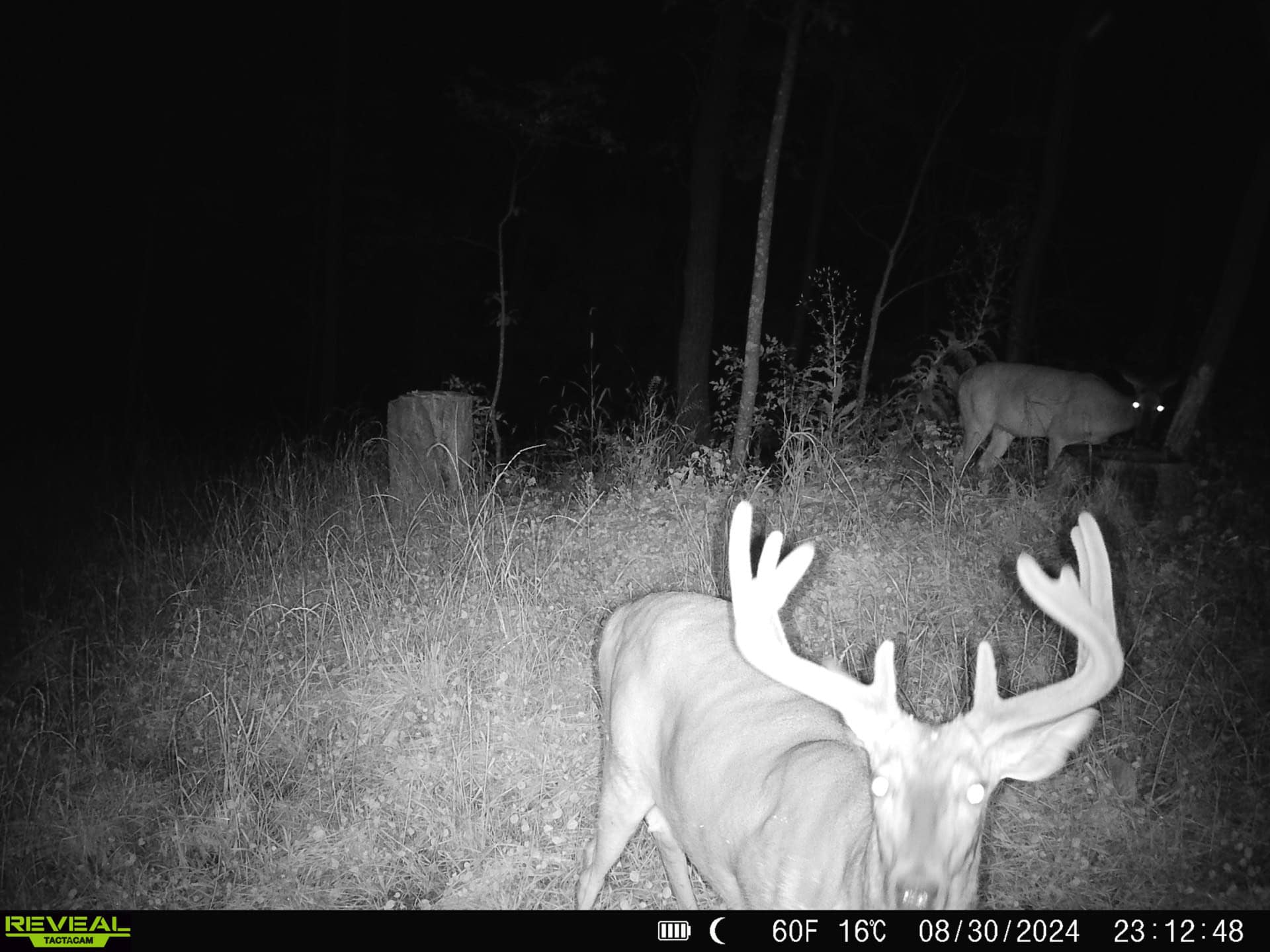 57+/- Acre Retreat in Wisconsin’s Driftless Area, Crawford County