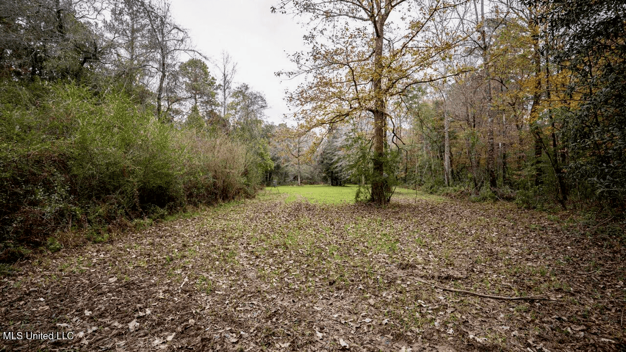 Asilo Farms on Bala Chitto Creek, Southwest Mississippi