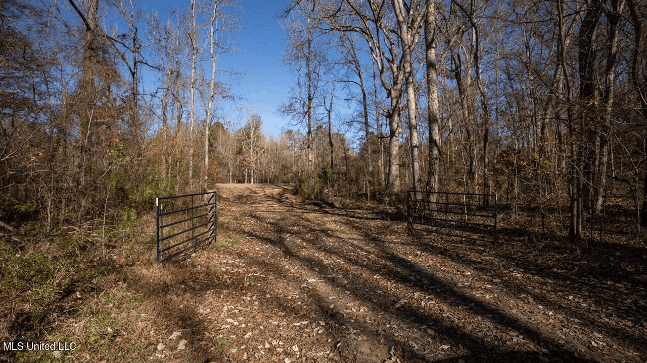 84.5 Acres in Woodville, MS on Hwy 24 with Creeks