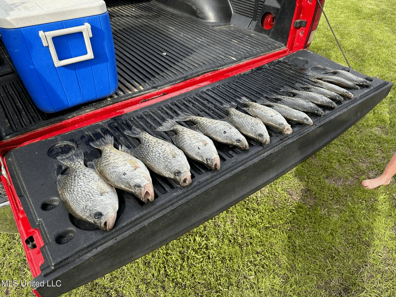 Natchez, MS – The Natchez Retreat on 47 Acres