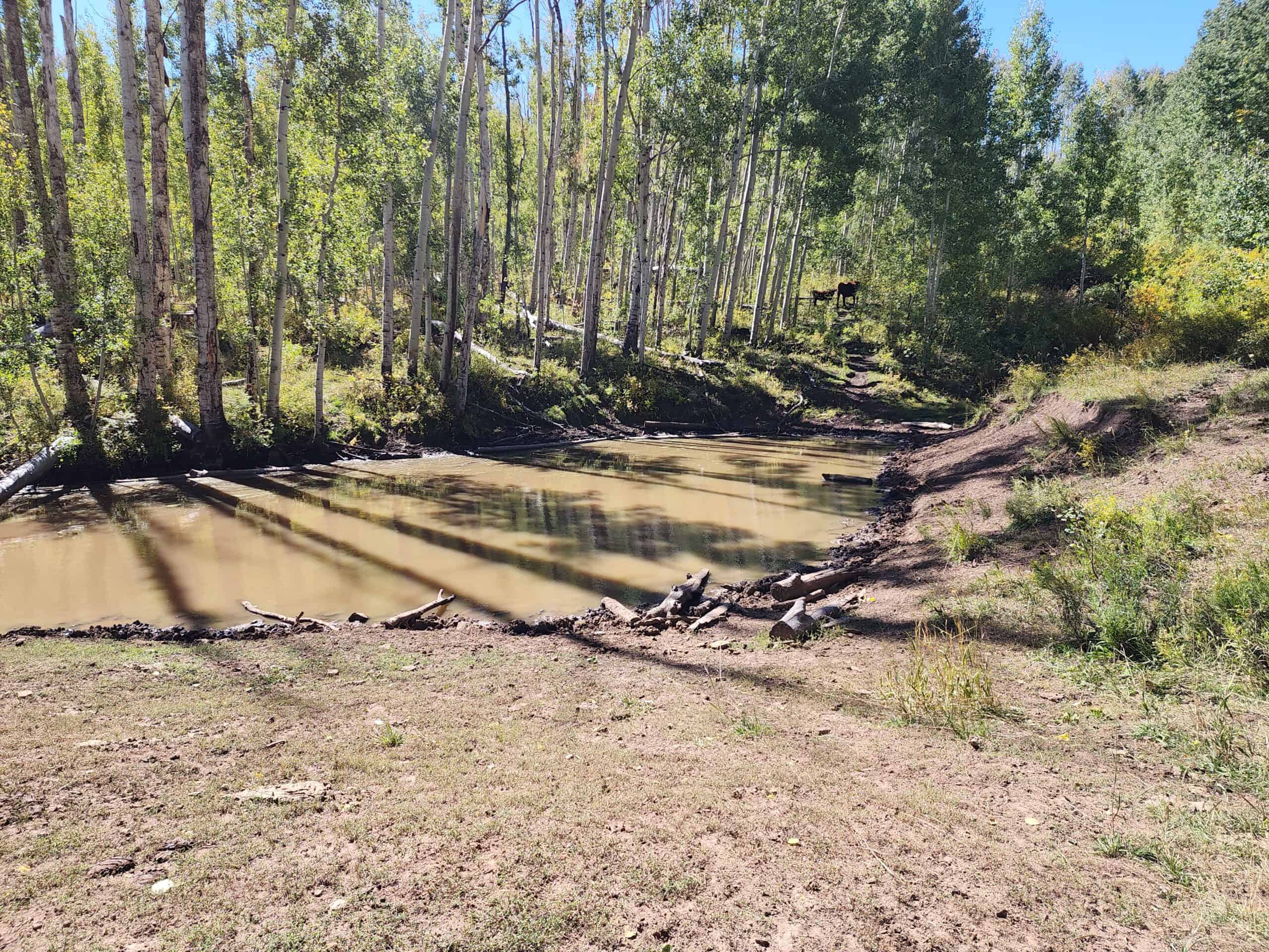 Colorado Hunting Property with Multiple Cabins