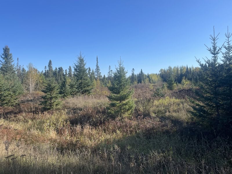 20 Acre Hunting Property w/ Quonset Shack For Sale in Kerrick MN