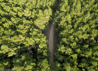 Wilkinson County 60-Acre Turn-Key Solar Hunting Camp