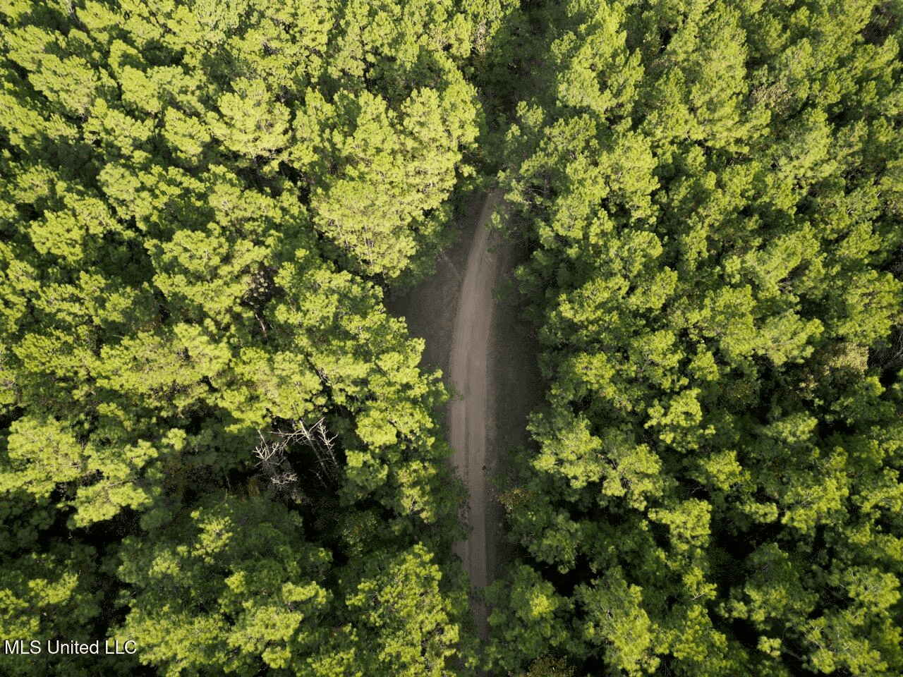Wilkinson County 60-Acre Turn-Key Solar Hunting Camp