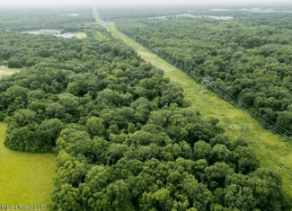 159 Acres in Port Hudson, Louisiana