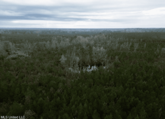 283± Acres for Sale Amite County, Mississippi