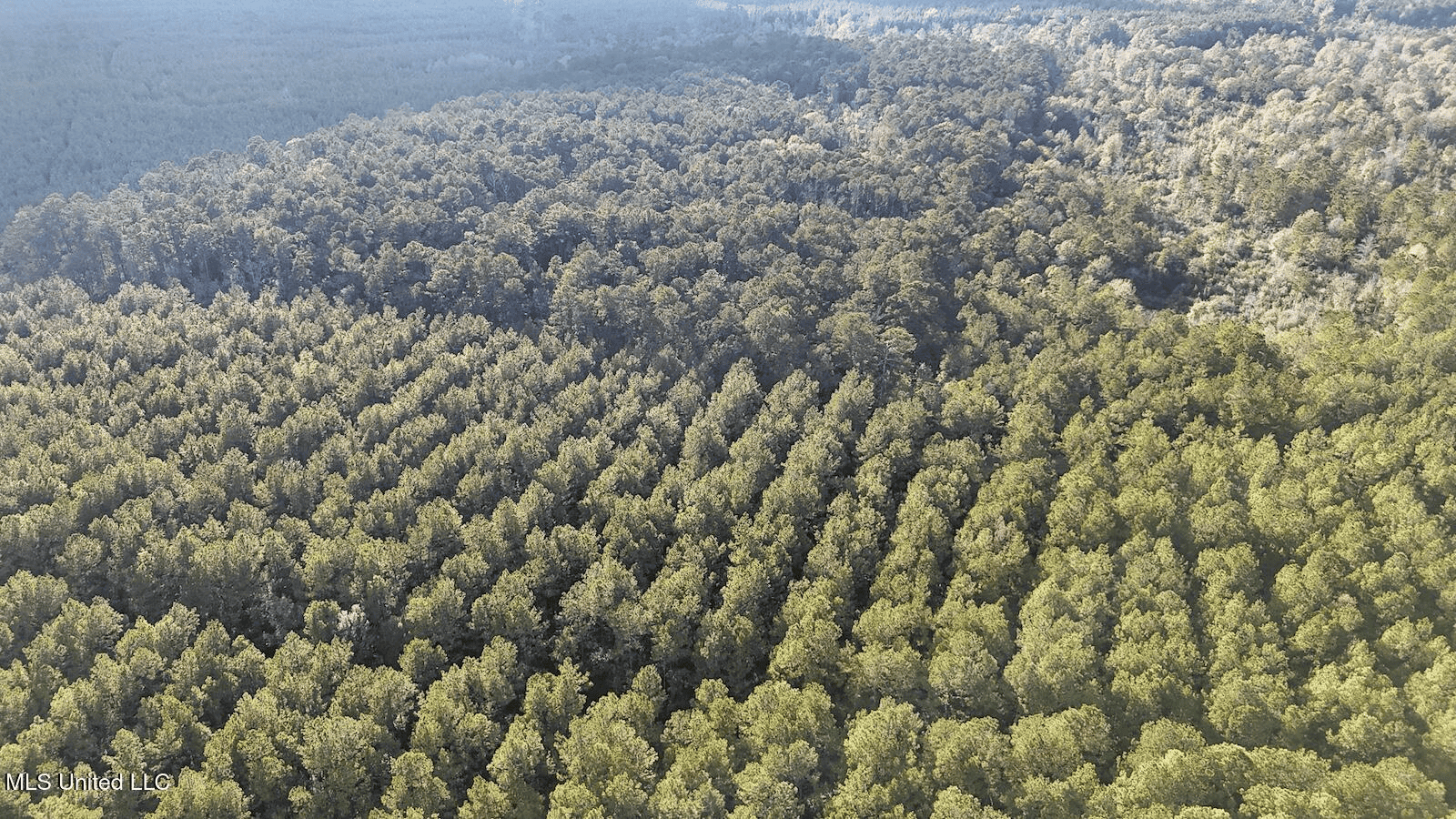 Prime Hunting Property in St Helena Parish, LA