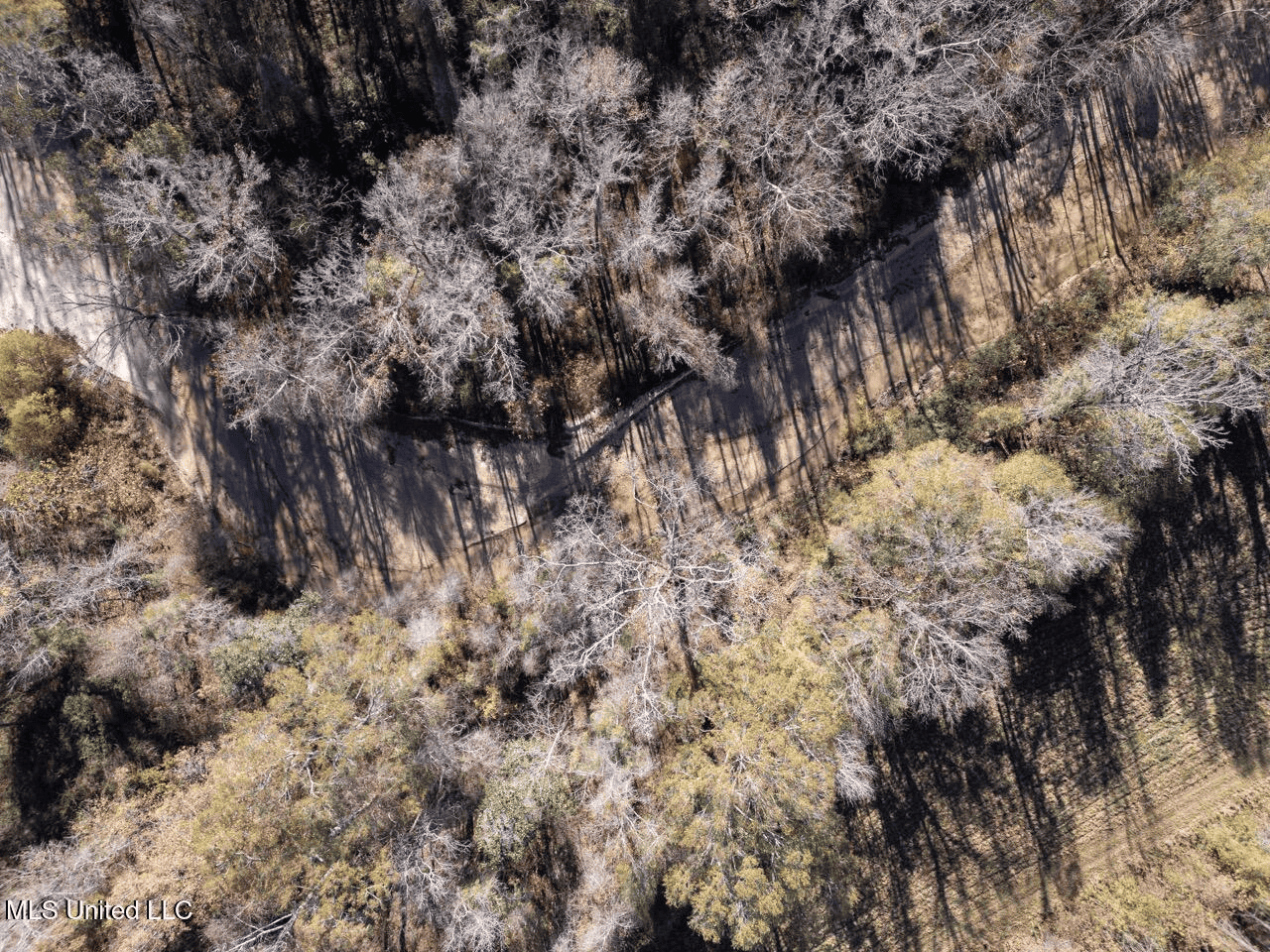 84.5 Acres in Woodville, MS on Hwy 24 with Creeks