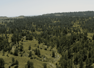 S Bar Ranch – 19,816± Acres North of Custer, Yellowstone County, Montana
