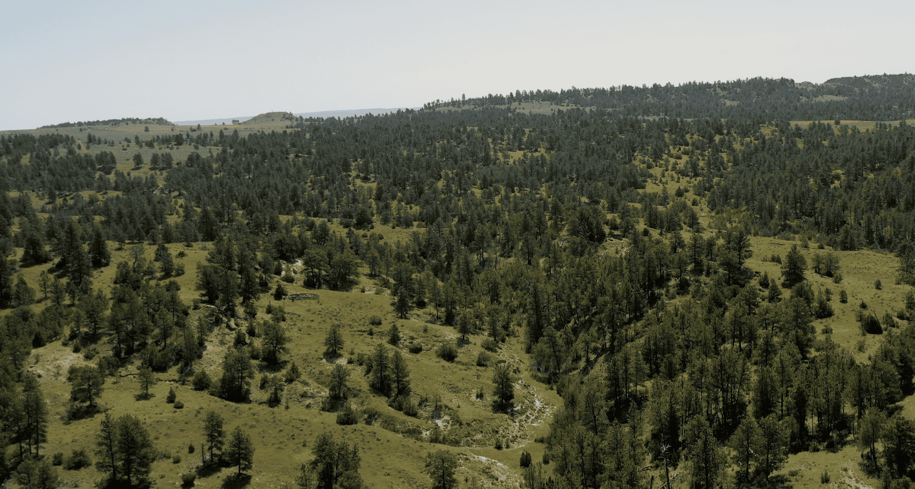 S Bar Ranch – 19,816± Acres North of Custer, Yellowstone County, Montana