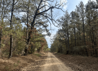 Hunting and Timberland w/ Homesite Potential Trout LA