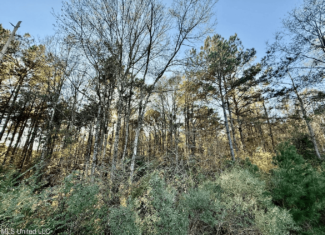 10 Acres Wooded Homesite & Hunting Tract in Smithdale, MS