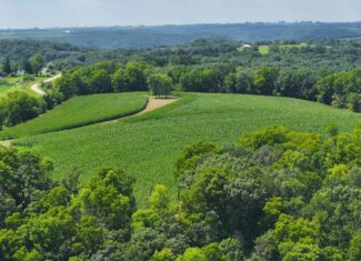 100 +/- Acre Ridge-Top Driftless Retreat in Crawford County WI