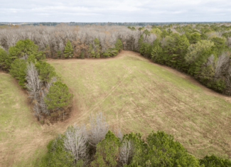 Timberland Farmland For Sale Clay County MS