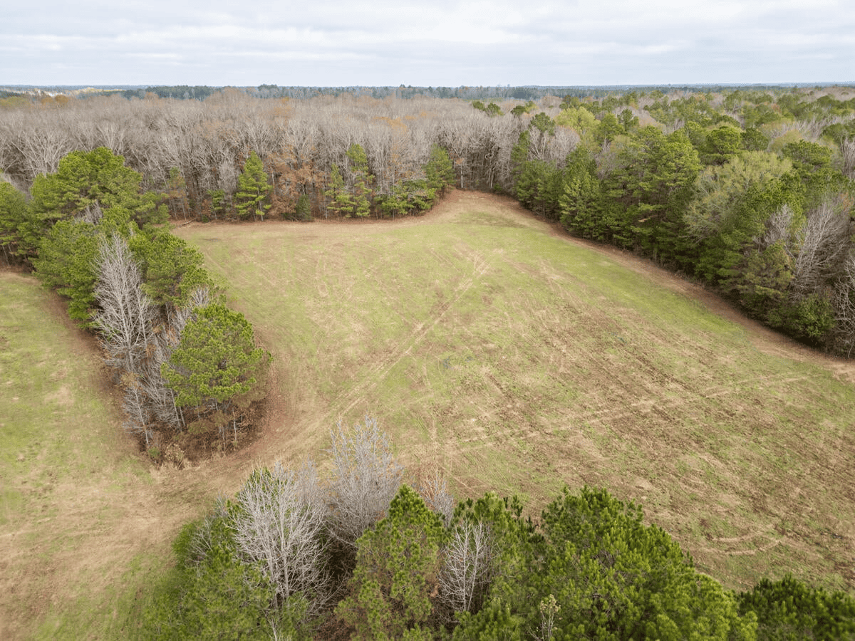 Timberland Farmland For Sale Clay County MS
