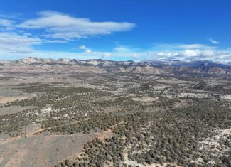 Vacant Hunting Land Borders BLM For Sale in Western Colorado