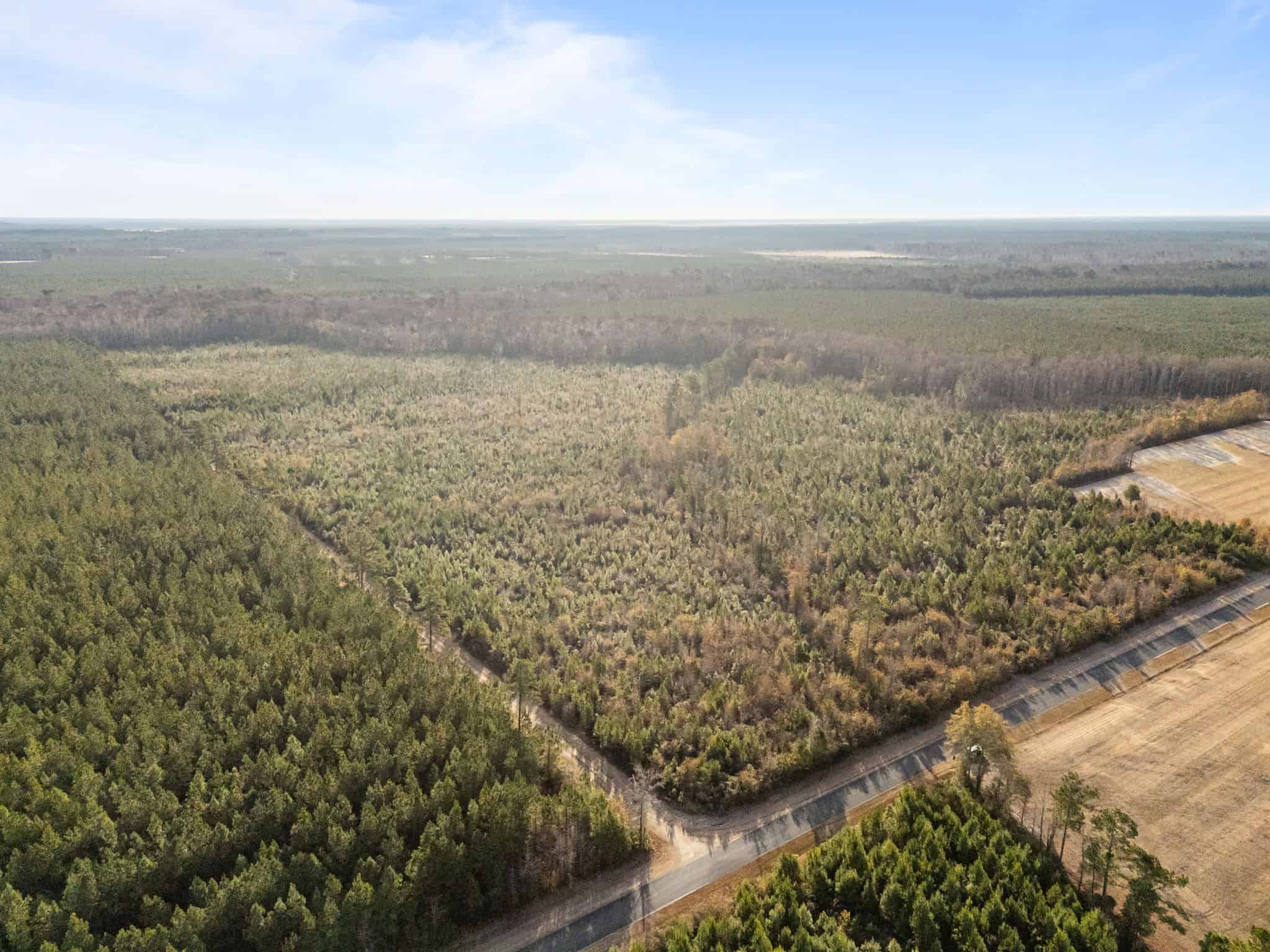 52-Acre Timber and Hunting Tract Near New Bern, NC
