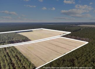 125 Acres of Farmland & Timberland on Tuten Road for Sale