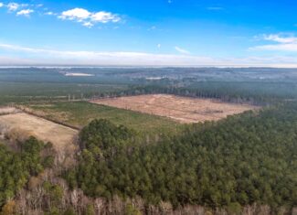 51-Acre Timber & Hunting Tract on Blounts Creek, NC