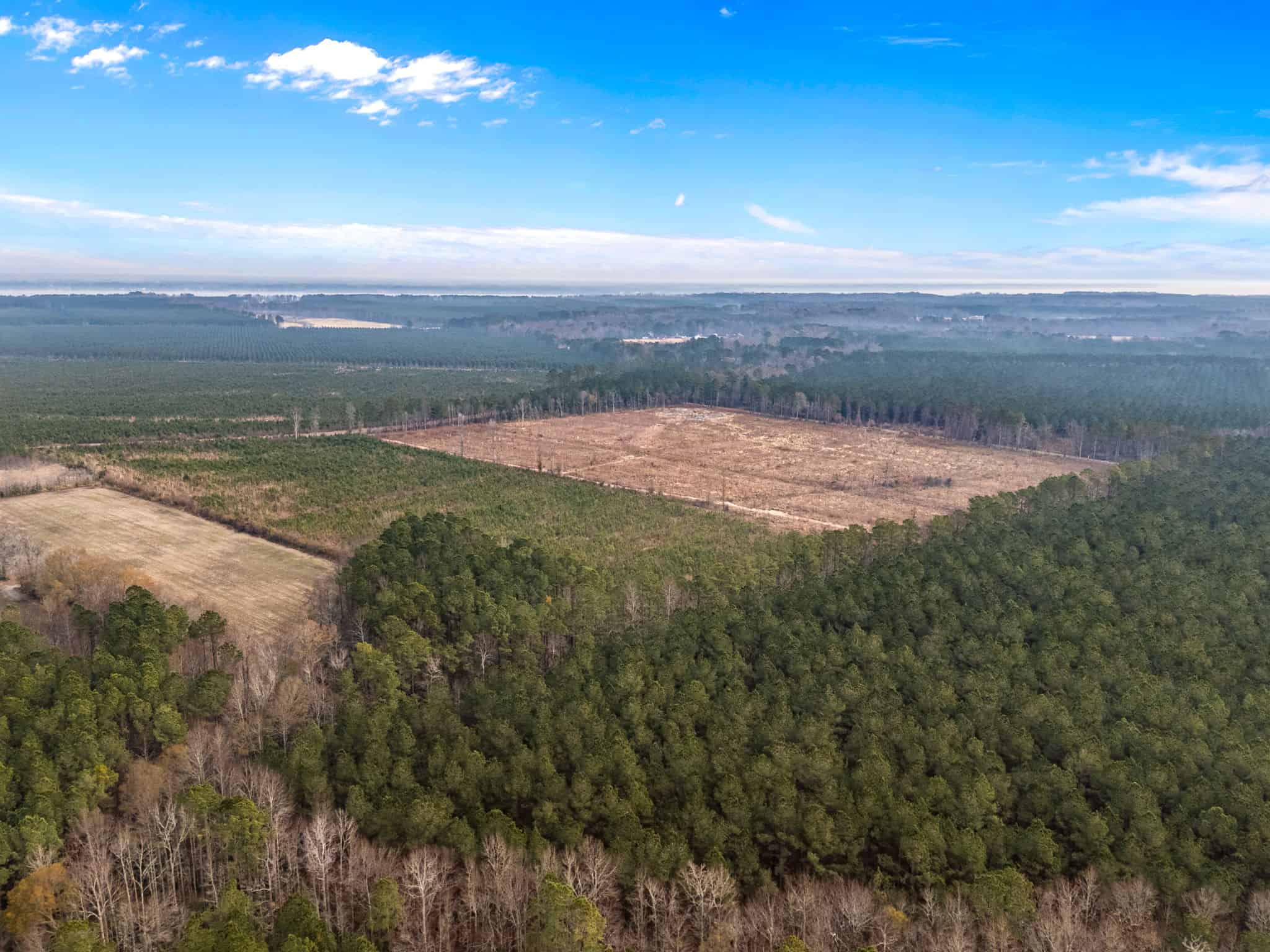 51-Acre Timber & Hunting Tract on Blounts Creek, NC