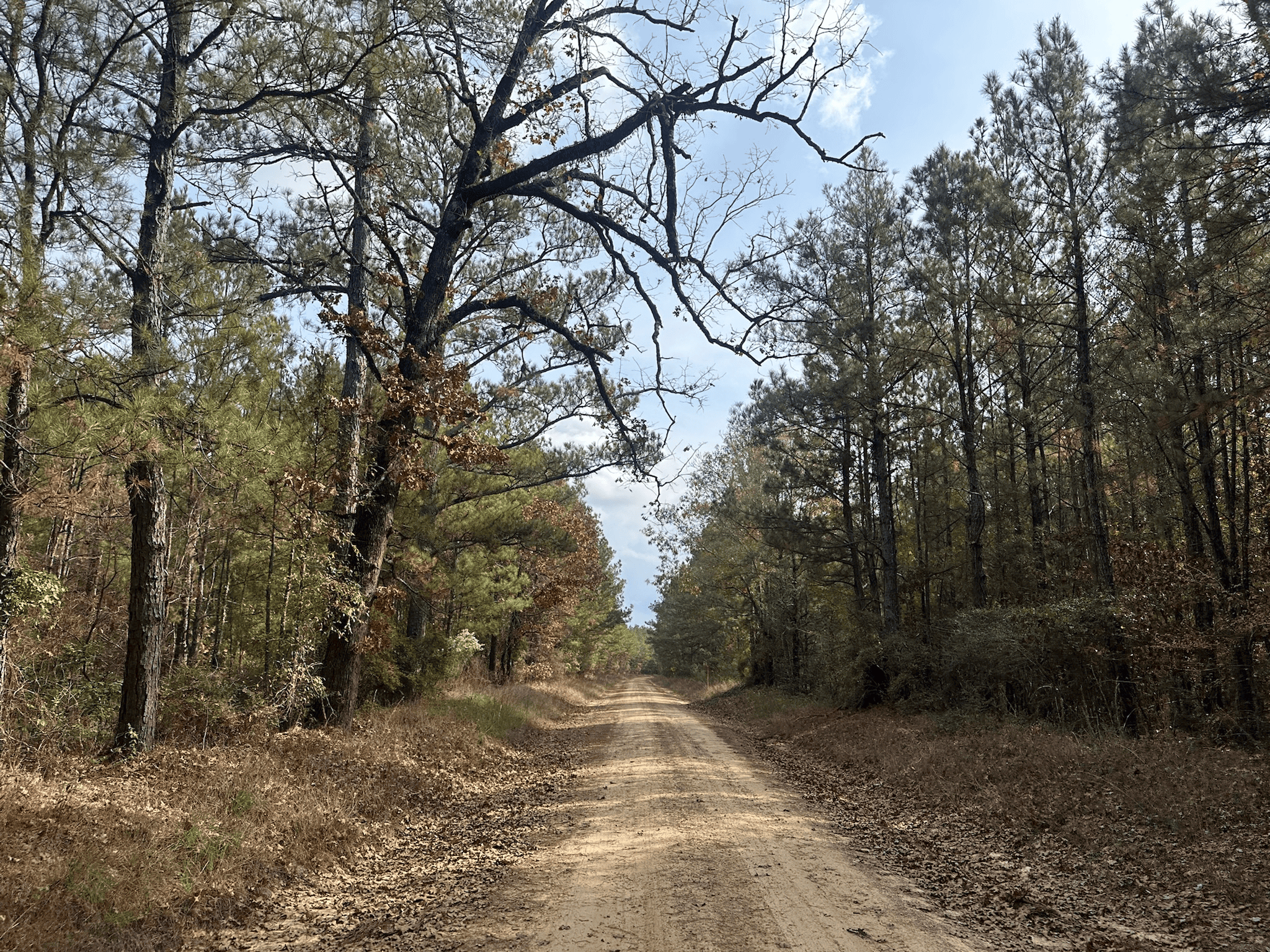 Hunting and Timberland w/ Homesite Potential Trout LA