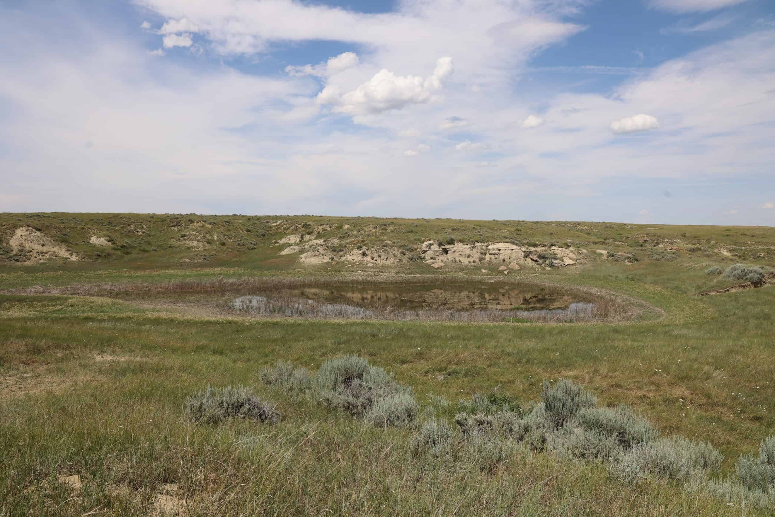 S Bar Ranch – 19,816± Acres North of Custer, Yellowstone County, Montana