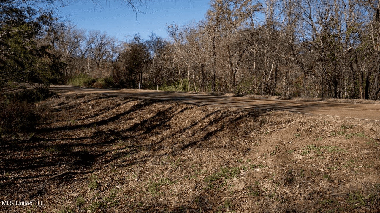 84.5 Acres in Woodville, MS on Hwy 24 with Creeks