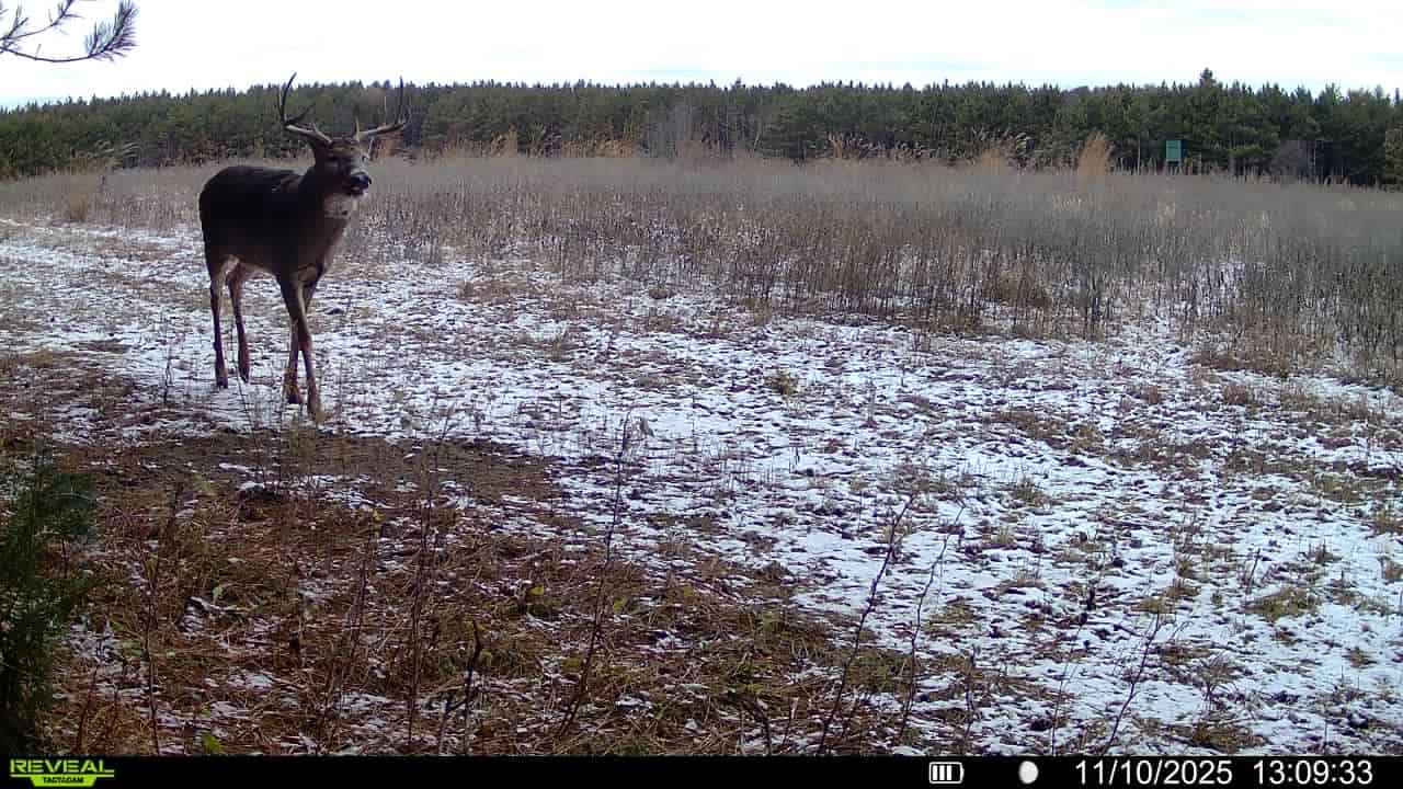 1565 Hwy 71 – Sparta, Wisconsin | 286± Acres | Monroe County