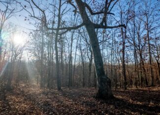 000 State Highway 137, Willow Springs, Missouri