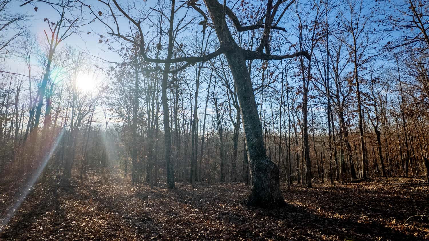 000 State Highway 137, Willow Springs, Missouri