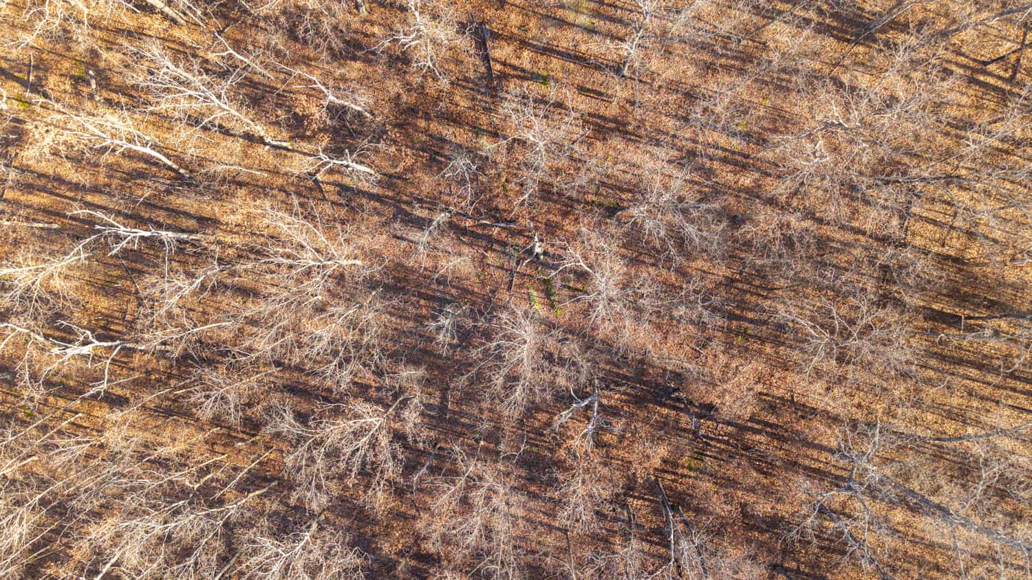 000 State Highway 137, Willow Springs, Missouri