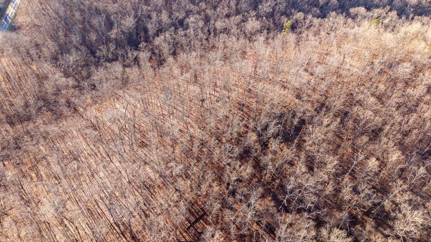 000 State Highway 137, Willow Springs, Missouri