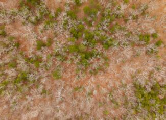 000 Inca Circle, Cherokee Village, Arkansas